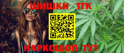 МДПВ Гусев