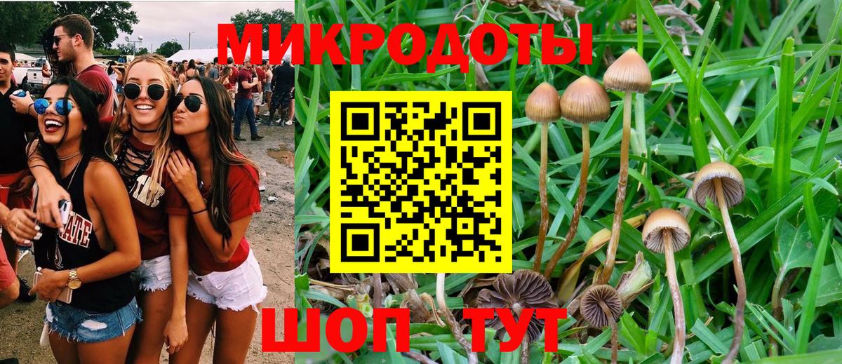 Псилоцибиновые грибы GOLDEN TEACHER  Вход с VPN  Псилоцибиновые грибы мицелий  закладки  Сергиев Посад 
